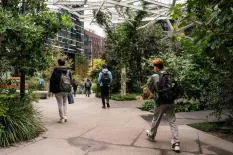 students-walking-through-garden-path